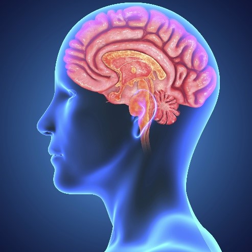 help rewire your muscle memory - Home Physio Group