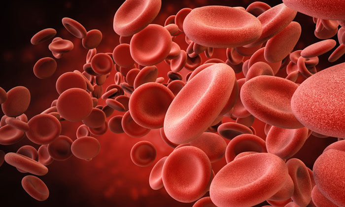 how do stem cells work - Home Physio Group