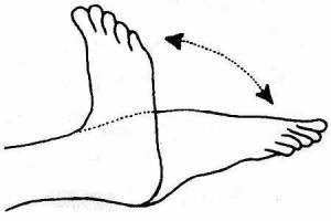 rotating-your-ankles-exercise