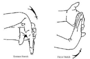 wrist-stretches
