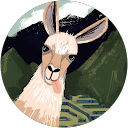 Fenella Foxcroft profile picture